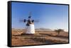 Windmill, El Cotillo, Fuerteventura, Canary Islands, Spain, Atlantic, Europe-Markus Lange-Framed Stretched Canvas