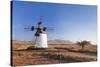 Windmill, El Cotillo, Fuerteventura, Canary Islands, Spain, Atlantic, Europe-Markus Lange-Stretched Canvas