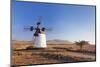 Windmill, El Cotillo, Fuerteventura, Canary Islands, Spain, Atlantic, Europe-Markus Lange-Mounted Photographic Print
