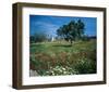 Windmill flower meadow Majorca-null-Framed Art Print