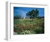 Windmill flower meadow Majorca-null-Framed Art Print