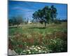 Windmill flower meadow Majorca-null-Mounted Art Print