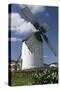 Windmill, Fuerteventura, Canary Islands-Peter Thompson-Stretched Canvas