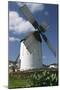 Windmill, Fuerteventura, Canary Islands-Peter Thompson-Mounted Photographic Print