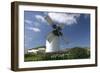 Windmill, Fuerteventura, Canary Islands-Peter Thompson-Framed Photographic Print