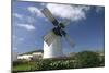 Windmill, Fuerteventura, Canary Islands-Peter Thompson-Mounted Photographic Print