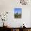 Windmill in Casas Del Calvario in the Northwest, La Palma, Canary Islands, Spain, Europe-Gerhard Wild-Photographic Print displayed on a wall
