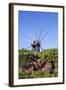 Windmill in Casas Del Calvario in the Northwest, La Palma, Canary Islands, Spain, Europe-Gerhard Wild-Framed Photographic Print