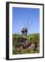 Windmill in Casas Del Calvario in the Northwest, La Palma, Canary Islands, Spain, Europe-Gerhard Wild-Framed Photographic Print