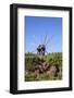 Windmill in Casas Del Calvario in the Northwest, La Palma, Canary Islands, Spain, Europe-Gerhard Wild-Framed Photographic Print