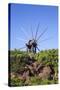 Windmill in Casas Del Calvario in the Northwest, La Palma, Canary Islands, Spain, Europe-Gerhard Wild-Stretched Canvas