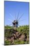 Windmill in Casas Del Calvario in the Northwest, La Palma, Canary Islands, Spain, Europe-Gerhard Wild-Mounted Photographic Print