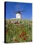 Windmill in Consuegra, Castilla La Mancha, Spain-Gavin Hellier-Stretched Canvas