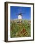 Windmill in Consuegra, Castilla La Mancha, Spain-Gavin Hellier-Framed Photographic Print