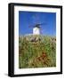 Windmill in Consuegra, Castilla La Mancha, Spain-Gavin Hellier-Framed Photographic Print