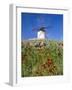 Windmill in Consuegra, Castilla La Mancha, Spain-Gavin Hellier-Framed Photographic Print