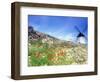 Windmill in Don Quixote Country, Spain-Peter Adams-Framed Photographic Print