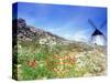 Windmill in Don Quixote Country, Spain-Peter Adams-Stretched Canvas