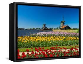 Windmill in Holland-lucasantilli-Framed Stretched Canvas