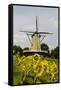 Windmill in Holland-Ivonnewierink-Framed Stretched Canvas
