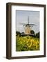 Windmill in Holland-Ivonnewierink-Framed Photographic Print