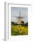 Windmill in Holland-Ivonnewierink-Framed Photographic Print