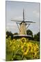 Windmill in Holland-Ivonnewierink-Mounted Photographic Print