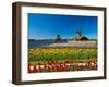 Windmill in Holland-lucasantilli-Framed Photographic Print