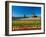 Windmill in Holland-lucasantilli-Framed Photographic Print