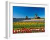 Windmill in Holland-lucasantilli-Framed Photographic Print