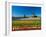 Windmill in Holland-lucasantilli-Framed Photographic Print