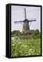 Windmill in Kinderdijk, the Netherlands-Colette2-Framed Stretched Canvas