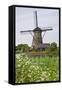 Windmill in Kinderdijk, the Netherlands-Colette2-Framed Stretched Canvas