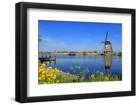 Windmill in Kinderdijk, UNESCO World Heritage Site, South Holland, Netherlands, Europe-Hans-Peter Merten-Framed Photographic Print