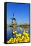 Windmill in Kinderdijk, UNESCO World Heritage Site, South Holland, Netherlands, Europe-Hans-Peter Merten-Framed Stretched Canvas