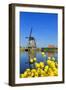 Windmill in Kinderdijk, UNESCO World Heritage Site, South Holland, Netherlands, Europe-Hans-Peter Merten-Framed Photographic Print