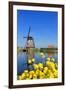 Windmill in Kinderdijk, UNESCO World Heritage Site, South Holland, Netherlands, Europe-Hans-Peter Merten-Framed Photographic Print