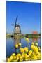 Windmill in Kinderdijk, UNESCO World Heritage Site, South Holland, Netherlands, Europe-Hans-Peter Merten-Mounted Photographic Print