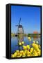 Windmill in Kinderdijk, UNESCO World Heritage Site, South Holland, Netherlands, Europe-Hans-Peter Merten-Framed Stretched Canvas