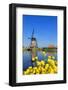 Windmill in Kinderdijk, UNESCO World Heritage Site, South Holland, Netherlands, Europe-Hans-Peter Merten-Framed Photographic Print