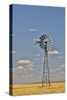 Windmill in wheat field Eastern Washington-Darrell Gulin-Stretched Canvas