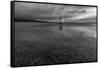 Windmill Island-Aledanda-Framed Stretched Canvas