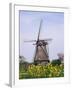 Windmill, Kinderdijk, Near Rotterdam, Holland-Roy Rainford-Framed Photographic Print