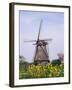 Windmill, Kinderdijk, Near Rotterdam, Holland-Roy Rainford-Framed Photographic Print