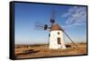 Windmill Near El Cotillo, Fuerteventura, Canary Islands, Spain, Atlantic, Europe-Markus Lange-Framed Stretched Canvas