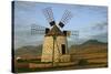 Windmill Near Tefia, Fuerteventura, Canary Islands-Peter Thompson-Stretched Canvas