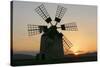 Windmill Near Tefia, Fuerteventura, Canary Islands-Peter Thompson-Stretched Canvas