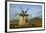 Windmill Near Tefia, Fuerteventura, Canary Islands-Peter Thompson-Framed Photographic Print