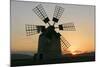 Windmill Near Tefia, Fuerteventura, Canary Islands-Peter Thompson-Mounted Photographic Print