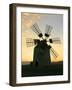 Windmill Near Tefia, Fuerteventura, Canary Islands-Peter Thompson-Framed Photographic Print